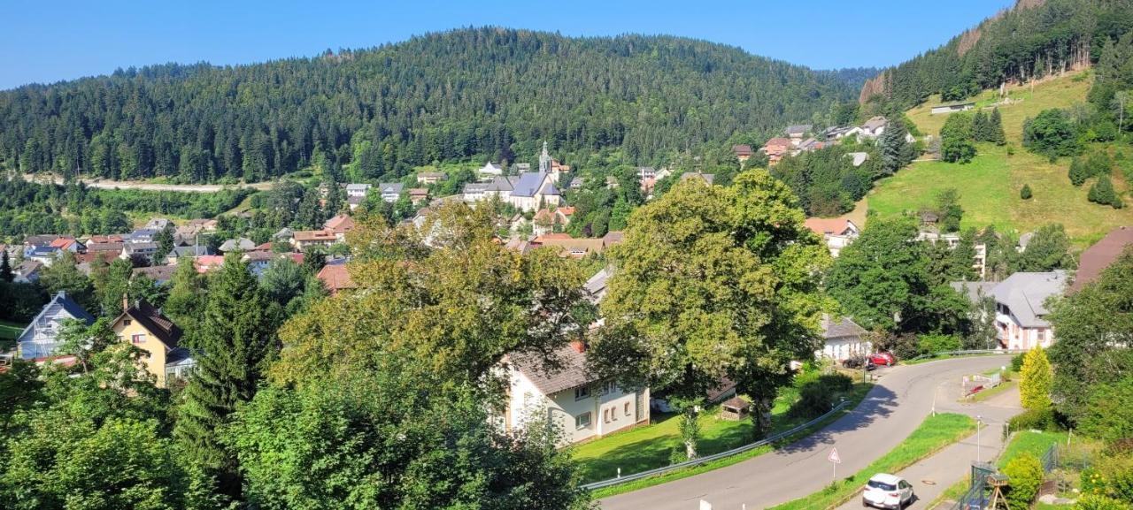 Zum Schwalbennest Διαμέρισμα Todtmoos Εξωτερικό φωτογραφία